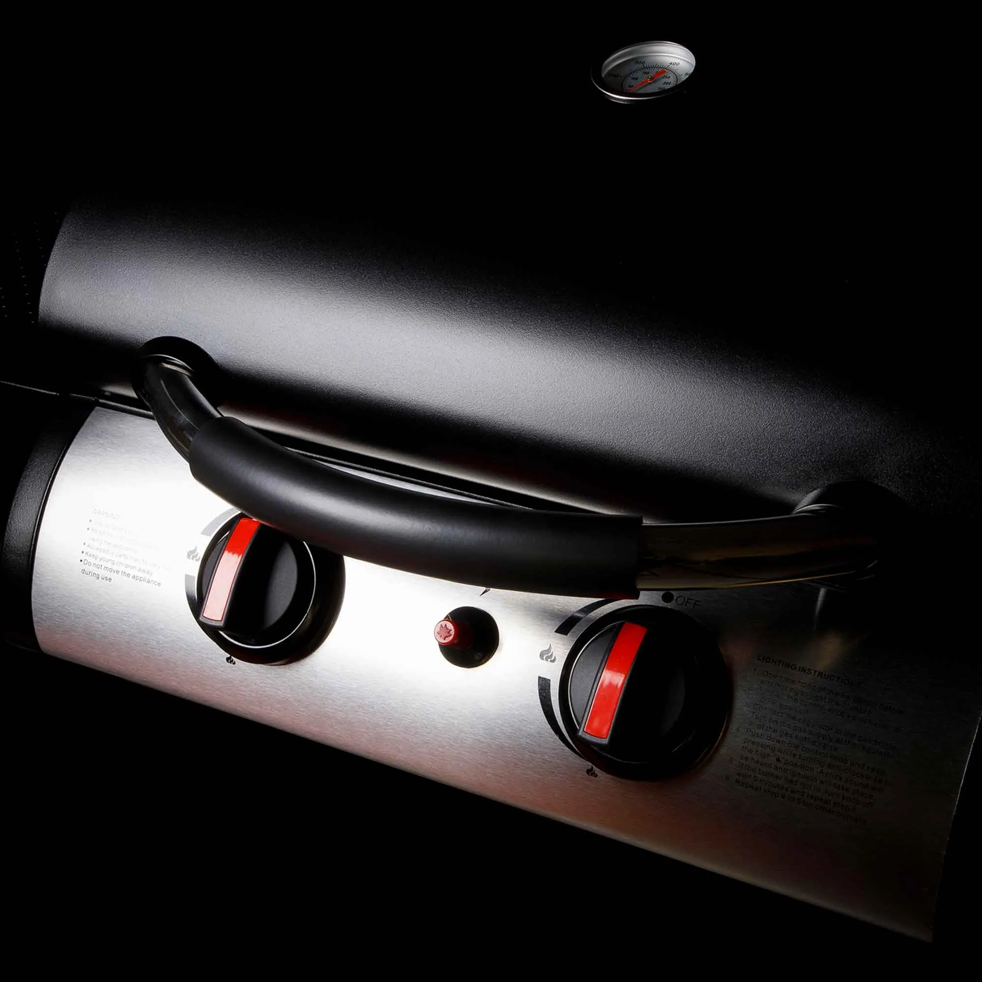 2 Burner Gas BBQ Grill with Piezo Ignition, Built-In Thermometer, Black/Stainless Steel - DG13