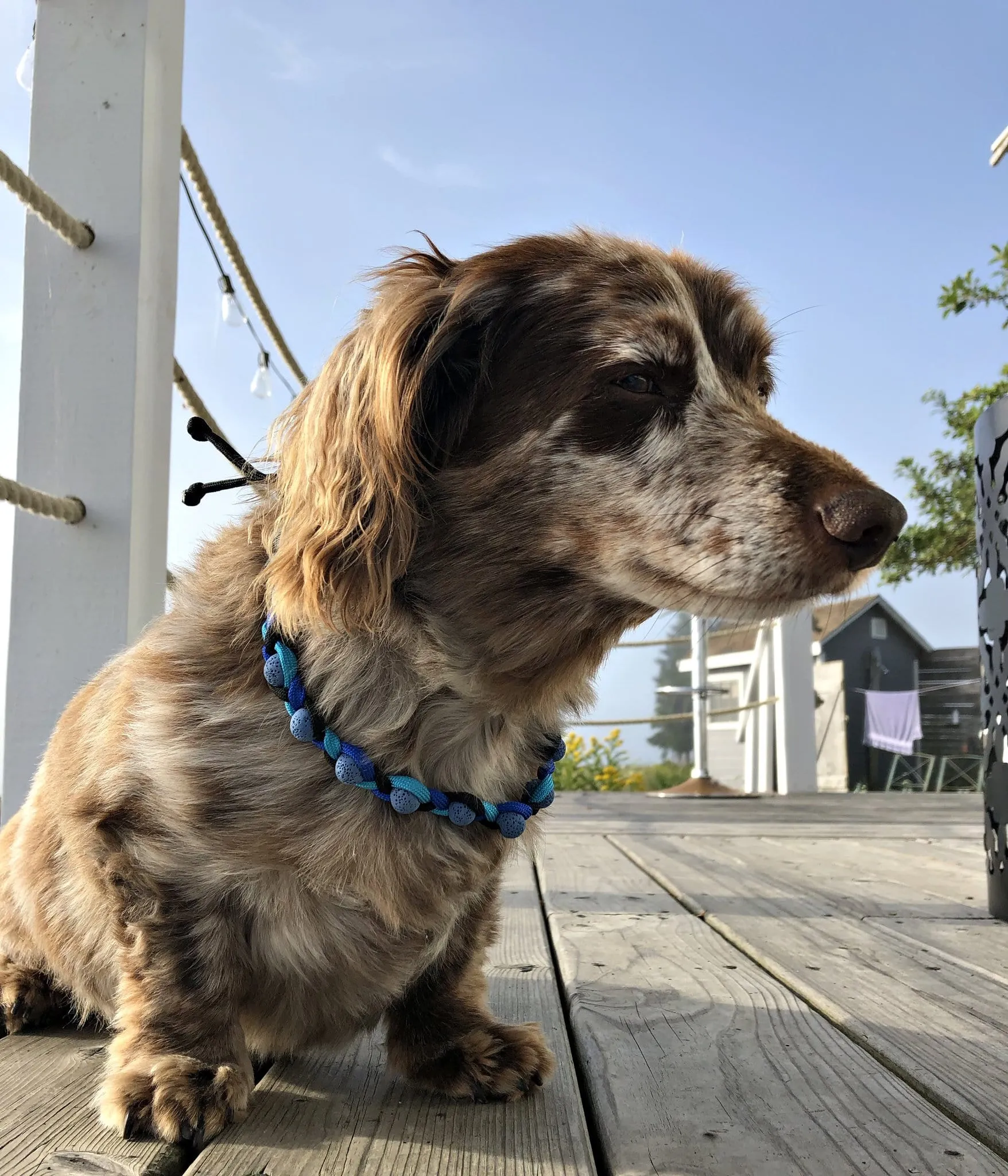 Atlantick Lava Hair Band/Collar
