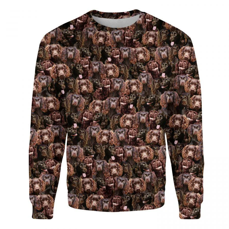 Boykin Spaniel - Full Face - Premium Sweatshirt