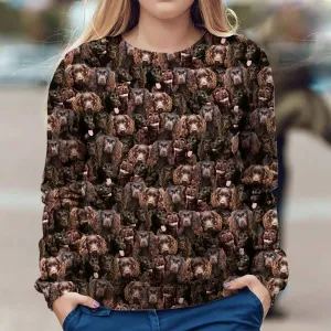 Boykin Spaniel - Full Face - Premium Sweatshirt