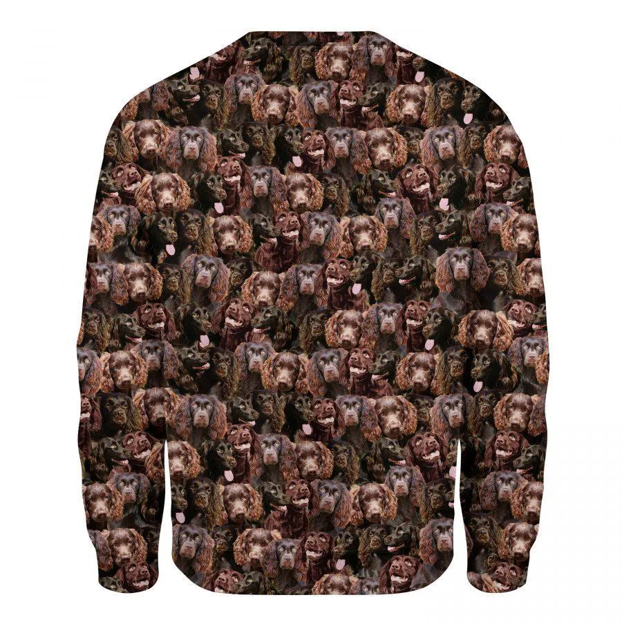 Boykin Spaniel - Full Face - Premium Sweatshirt