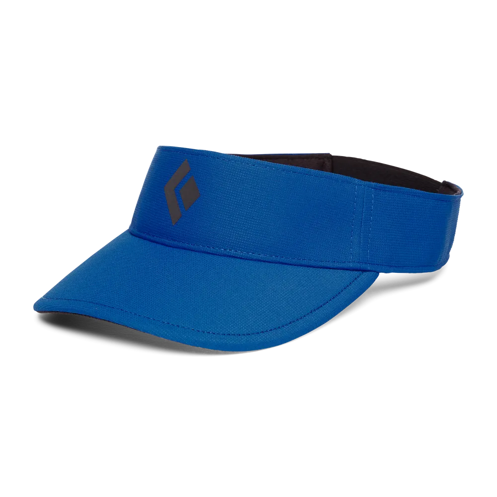 Dash Visor - AP723015 - Past Season