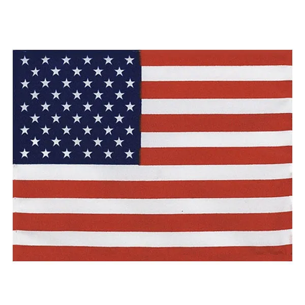 Flags: USA 3′ x 5′