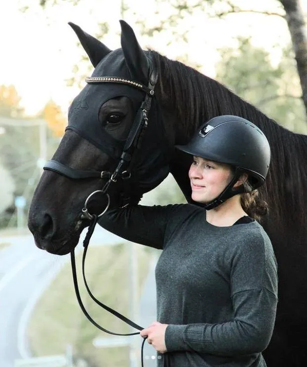 LT Horse Mask with Ears
