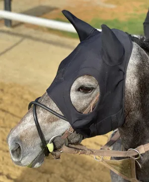 LT Horse Mask with Ears