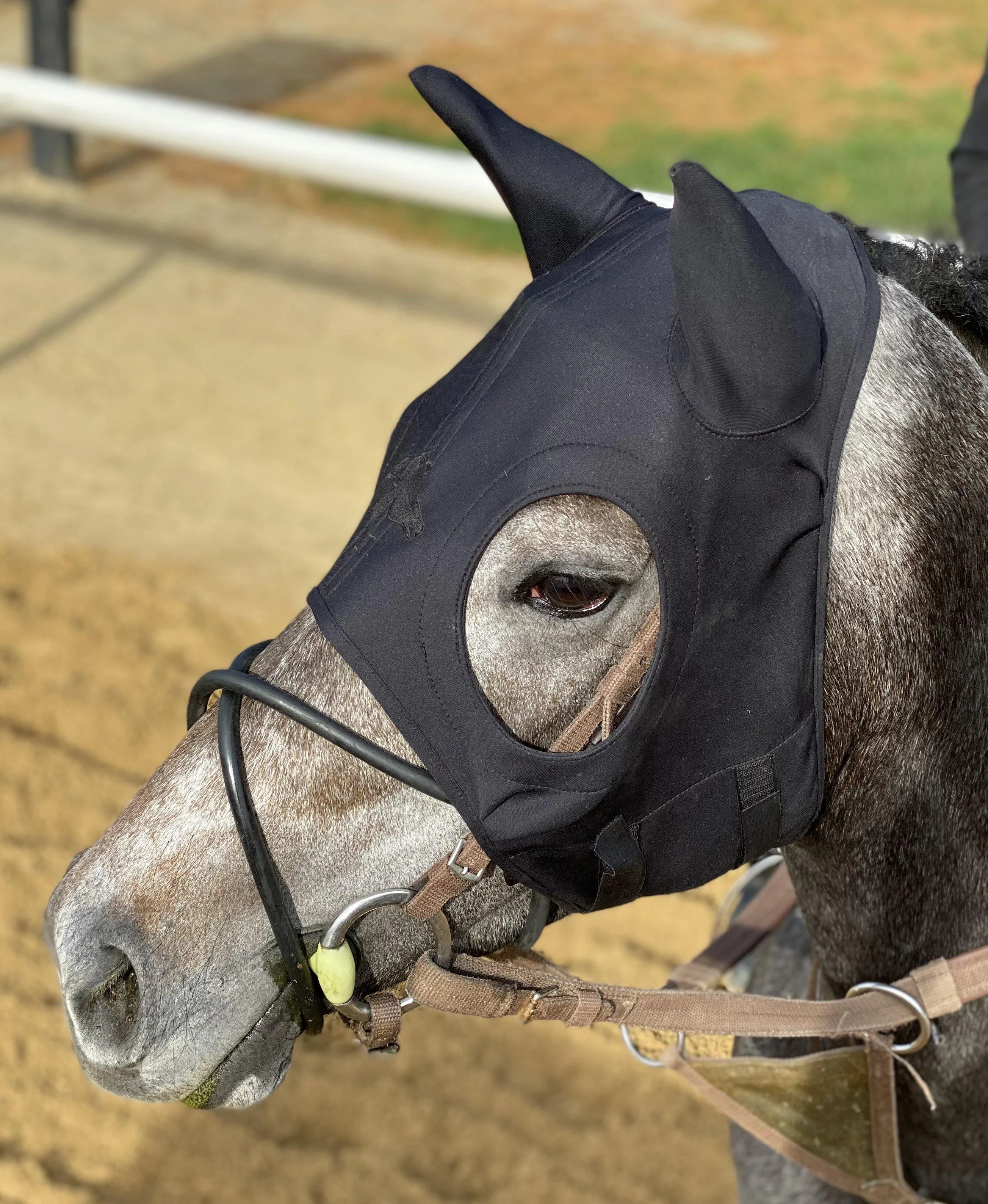 LT Horse Mask with Ears