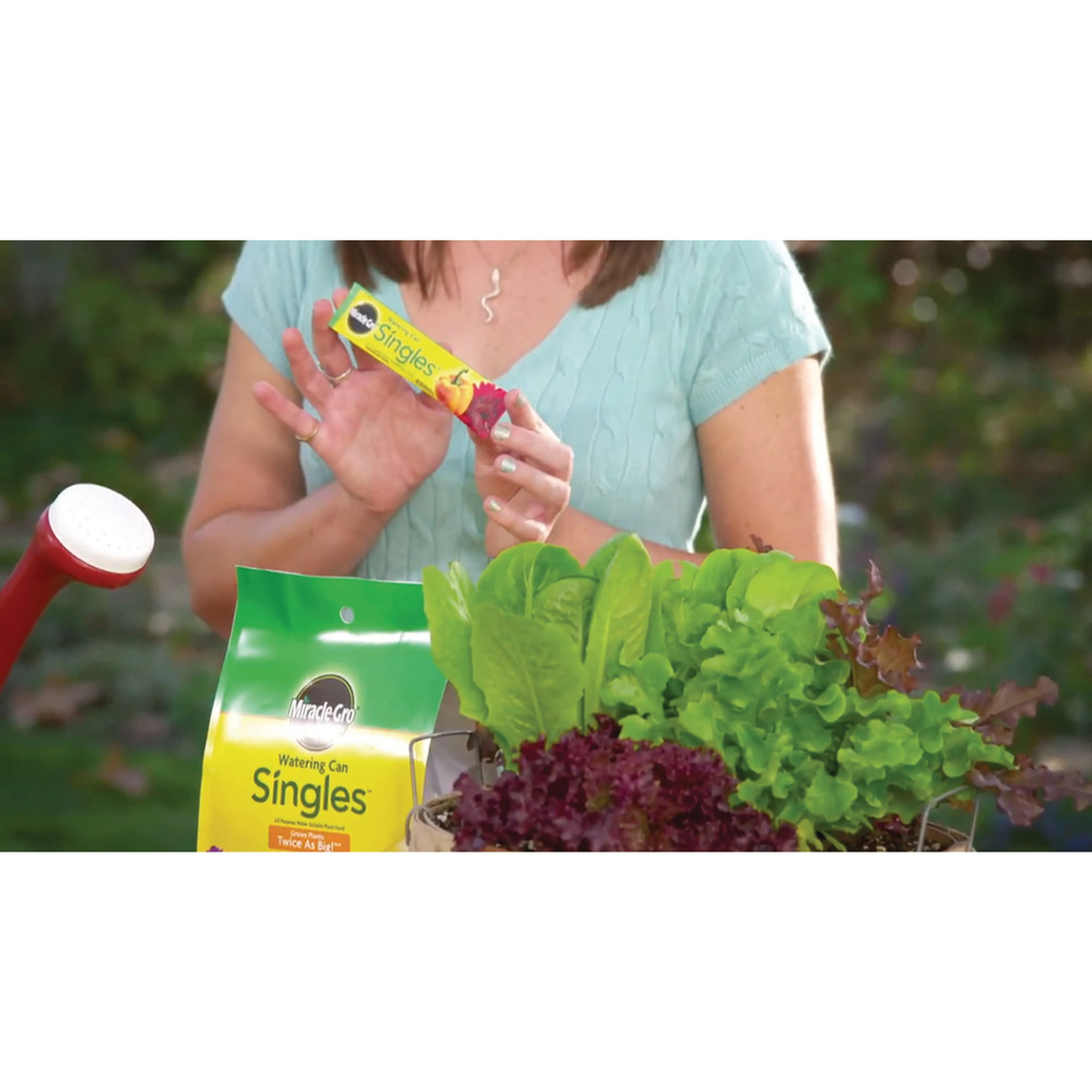 Miracle-Gro Watering Can Singles All Purpose Water Soluble Plant Food 24-Packets