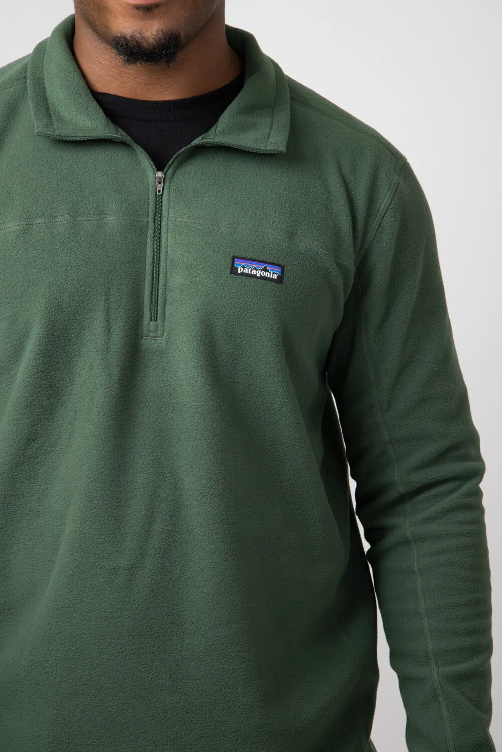 Patagonia Men’s Micro D Fleece Pullover in Green | 26176-TPGN